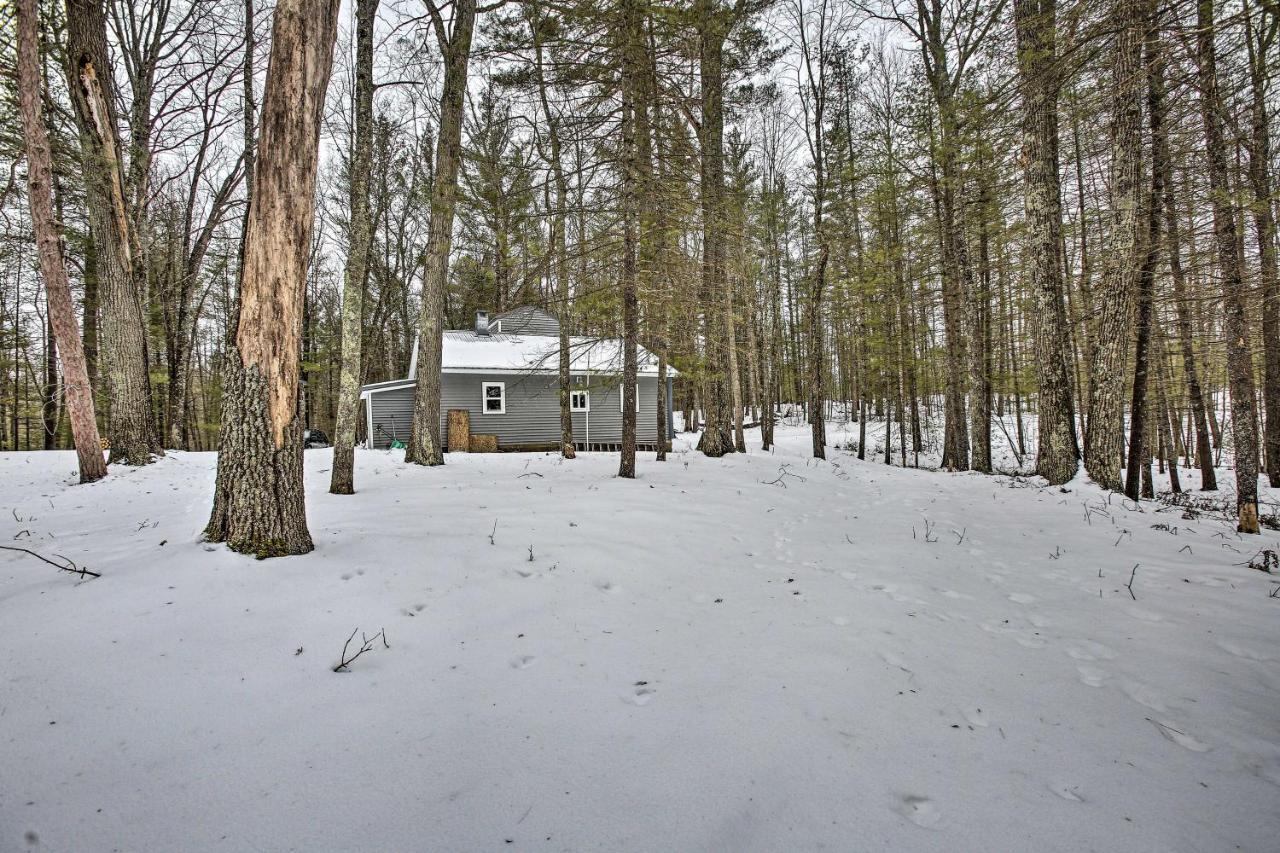 Remote Michigan Retreat On 10 Acres With Grill! Villa Irons Buitenkant foto